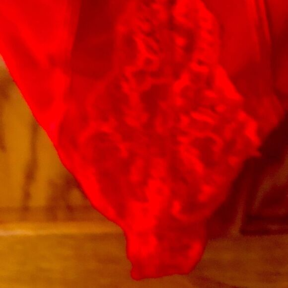 NWT Daisy Fuentes Full Body Sexy Teddy - Picture 4 of 7